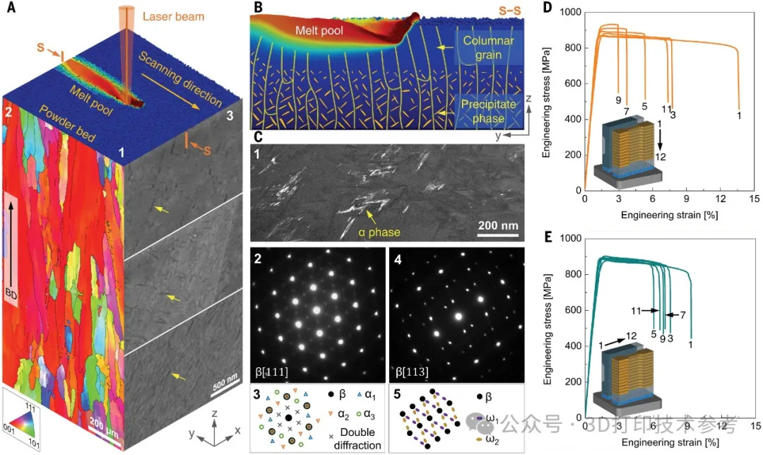 2024年第2回科學調(diào)査